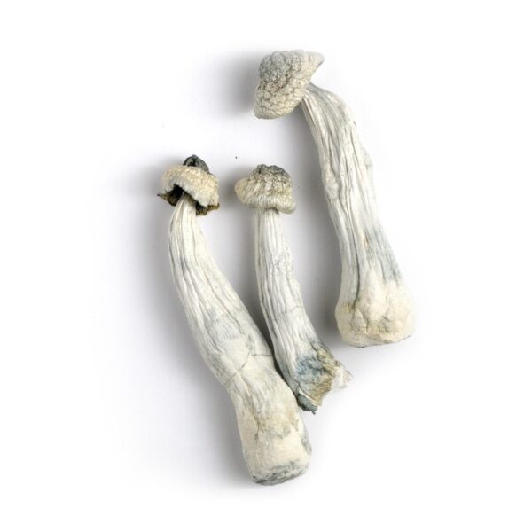 buy psilocybin online