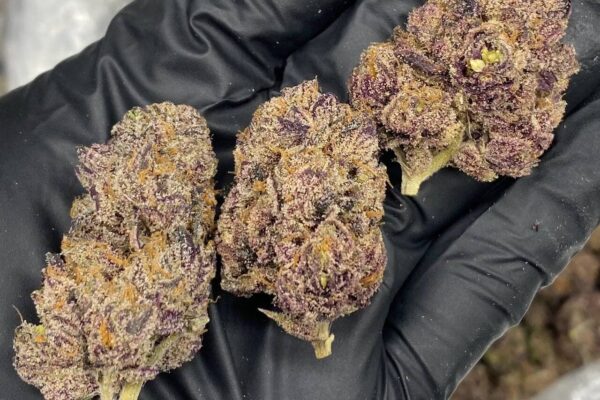 Top Weed Strains
